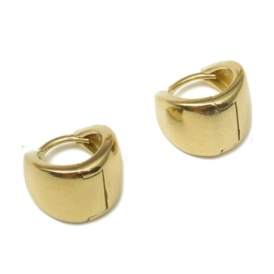 Journey Earring